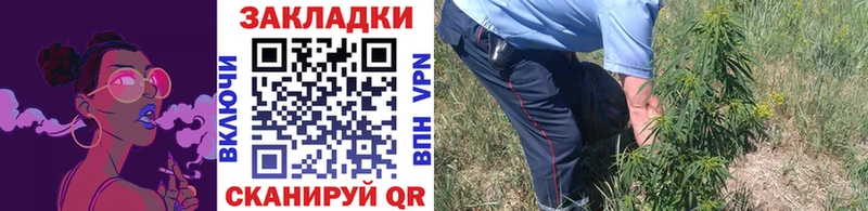 Виды наркоты Новозыбков Cocaine  АМФЕТАМИН  Alpha PVP  ГАШИШ  Меф  МАРИХУАНА 