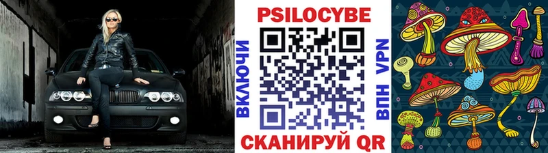 Псилоцибиновые грибы Psilocybine cubensis Новозыбков